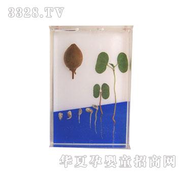 �����`�޻����Lʷ�˱�