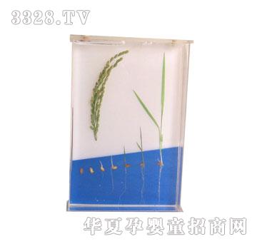 �����`ˮ�����Lʷ�˱�