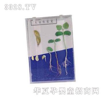 �����`�����Lʷ�˱�