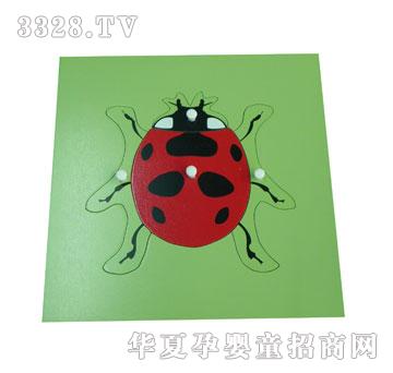 �����`������xǶ��