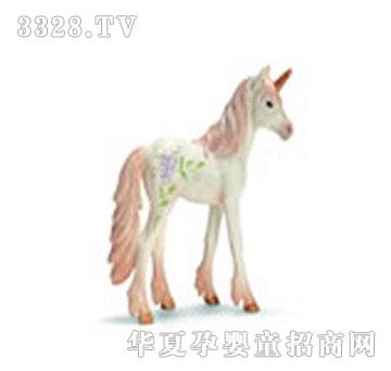 �ǘ��̘IS70420