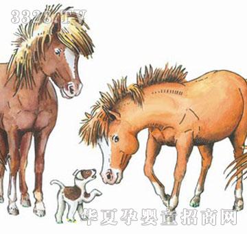 �ǘ��̘IR063246