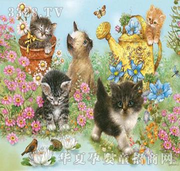 �ǘ��̘IR086146