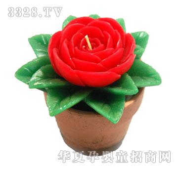 ����Ϟ�TRF3311R