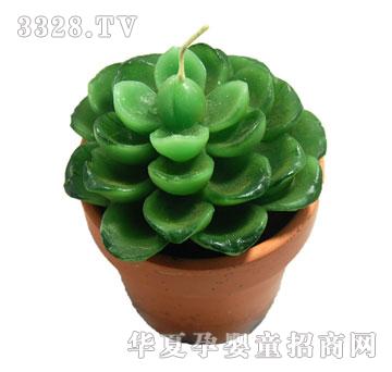 ����Ϟ�TRF3486