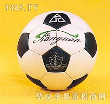 ����M����Football2