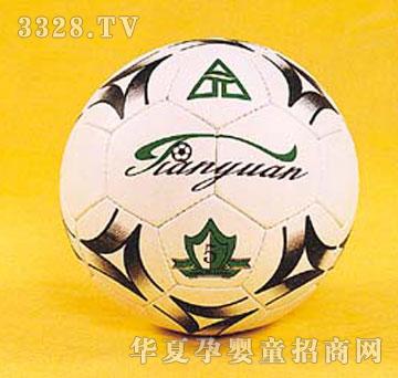 ����M����Football8