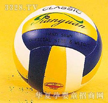 ����M����Volleyball