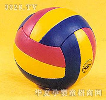 ����M����Volleyball1