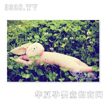 �������͵�е�����