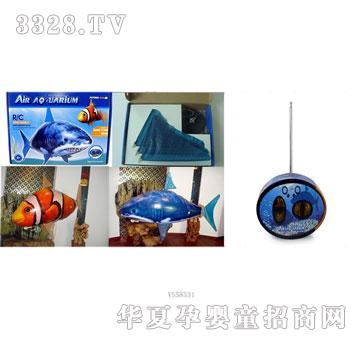 �Ƕ�������b���w�~12