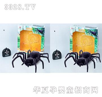 �Ƕ�������b����ͨ֩�����ʾ