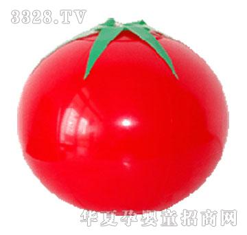 �|�_�h�������t�����