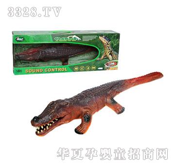 �W˹�������_���{2484