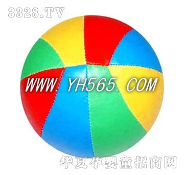 �ź�PVC��ɫ������C40011E