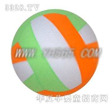 �ź���ɹ�����(��)HC80028-1