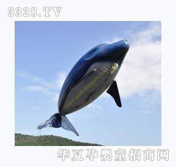 �o���b�غ�������w�~