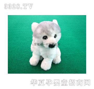 ��һ������ë�q���