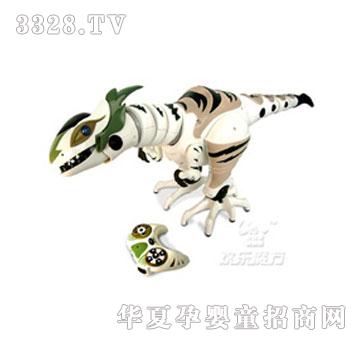 �g��ħ���๦�ܳ��������������