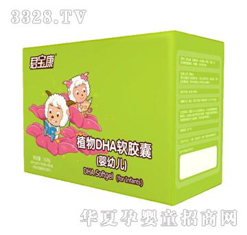 ������DHA28���b