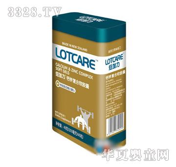 �~����ţ���}�}�\�ͺ�ܛ�z��