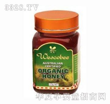 �S���������(sh��)����375g