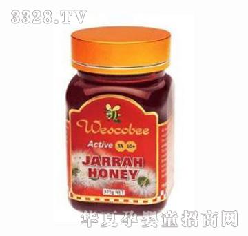 �S��피�(j��)���ļt�����