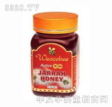 �S��피�(j��)���ļt�����500g