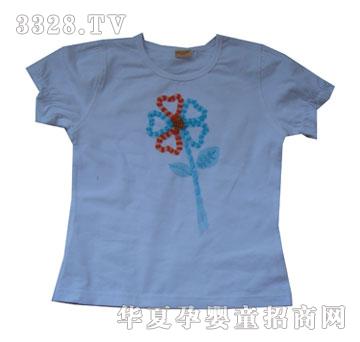 ����С���ݽ�ۼ���25387A����ɫ����T