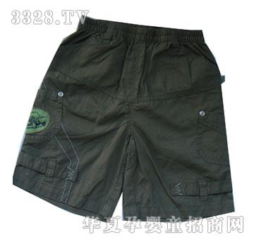 ����С�����`��է�F27813B�����S�G����ѝ