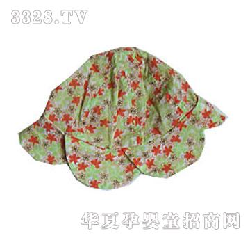 ����С���ݠN������10050A��������ñ��