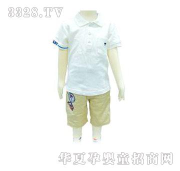 ����POLO��