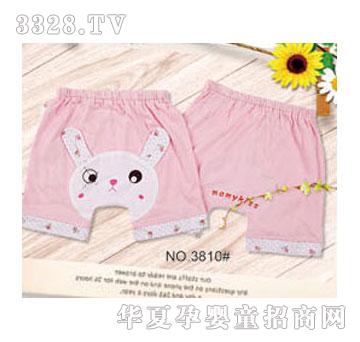 ���Hؐ��С����PPѝ���ɗl�b��M3810