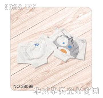 ���Hؐ�����_��ͯƽ�ǃ�ѝ���ɗl�b��M3809