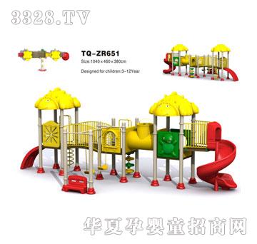 �������M�ϻ���TQ-ZR651