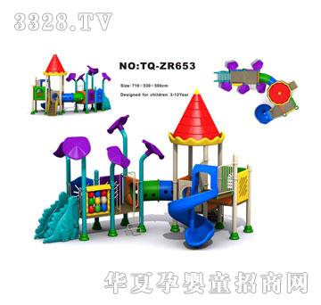 �������M�ϻ���TQ-ZR653