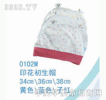 ��ʿ0102m