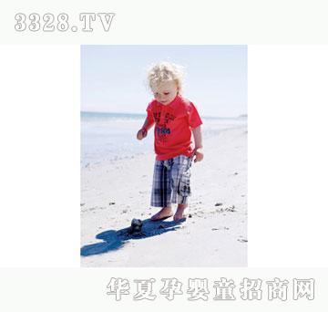 ���뷿2012claire���ļt����