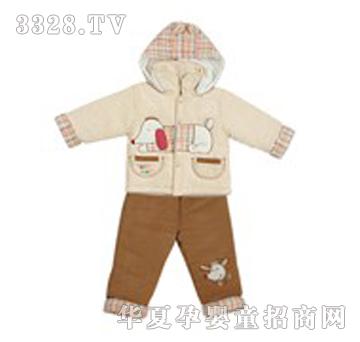 ���������ϵ��6204