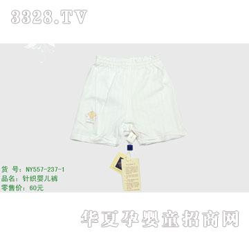 �s�A����NY557-237-1