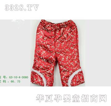 �s�A2010�궬�bG3-10-4-3080