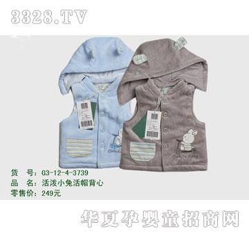 �s�A2012�궬��G3-12-4-3739