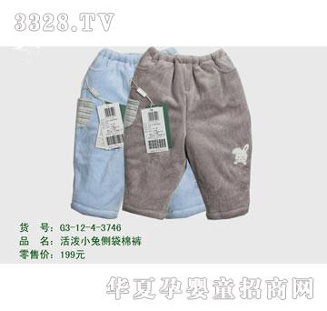 �s�A2012�궬��G3-12-4-3746