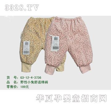 �s�A2012�궬��G3-12-4-3736