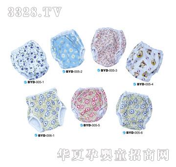 �����(n��i)��BYD-005-1