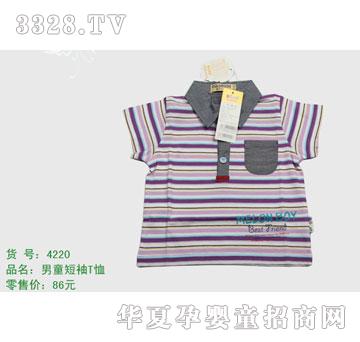 �s�A����̫��4220