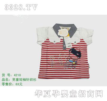 �s�A����̫��4210