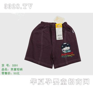 �s�A����̫��3391