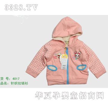 �s�A����̫��4017