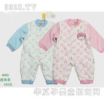 �s�A����̫��4065